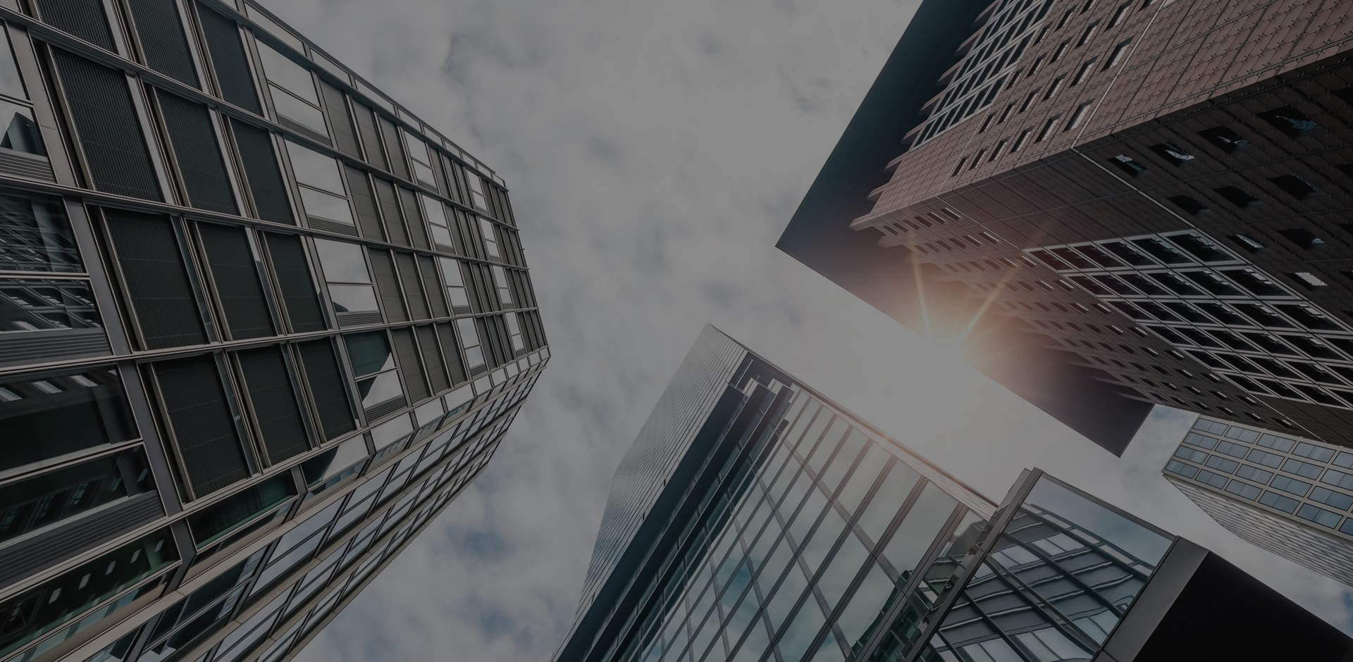 슬라이더 이미지